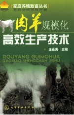 肉羊规模化高效生产技术