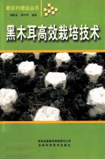 黑木耳高效栽培技术