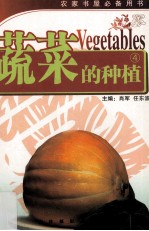 蔬菜的种植 4 南瓜