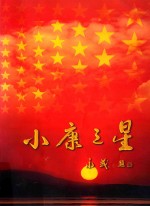 小康之星