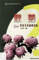 秋菊 养花专家解惑答疑
