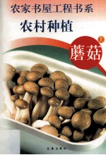 农村种植 蘑菇 上
