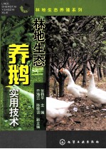 林地生态养鹅实用技术