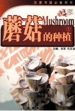 蘑菇的种植 1