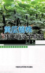 黄瓜植株矮化的分子基础