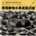 素描静物 水果蔬菜训练