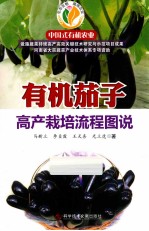 有机茄子高产栽培流程图说