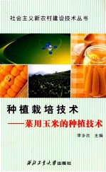 种植栽培技术 菜用玉米的种植技术