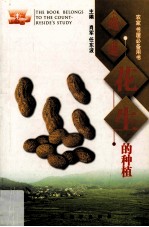 花生的种植