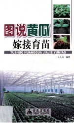 图说黄瓜嫁接技术