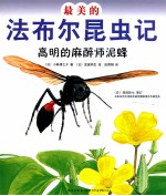 最美的法布尔昆虫记 高明的麻醉师泥蜂