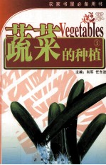 蔬菜的种植 3 黄瓜