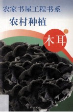 农村种植 木耳 下