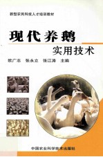 现代养鹅实用技术