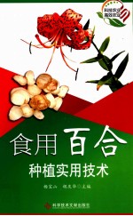 食用百合种植实用技术