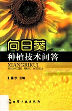 向日葵种植技术问答