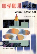 即学即用中文版Visual Basic 5.0