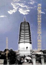 吉林省农安县第五次全国人口普查资料 机器汇总资料