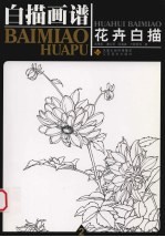 白描画谱 花卉白描 2
