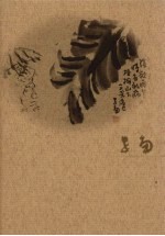 羁旅 病中日记