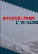 城市桥梁检测与养护维修及标准规范实务全书 第1卷
