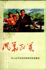 风华正茂 记上山下乡知识青年先进事迹