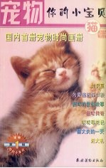 宠物你的小宝贝 猫咪