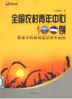 全国农村青年中心100例 探索中的新型基层青年组织