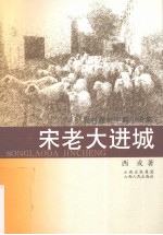 宋老大进城 农村题材中篇小说集