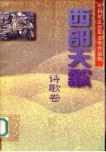 西部天歌 诗歌卷:兰州军区空军文学作品集