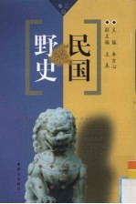 民国野史 第3卷