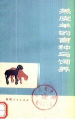 羔皮羊的育种与饲养