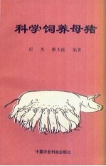 科学饲养母猪