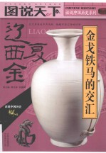 图说天下 辽·西夏·金 金戈铁马的交汇