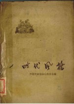 时代风格 山东省工、农、妇女群英会特写集