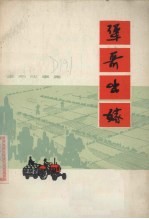 犟哥出嫁 革命故事集