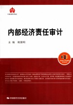 内部经济责任审计