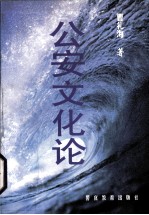 公安文化论