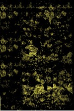 严歌苓作品集 天浴