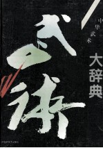 中华武术大辞典