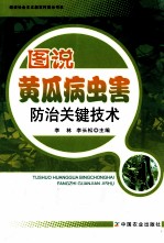 突破智慧 幼儿头脑奥林匹克训练 5-6岁