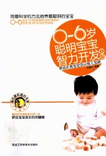0-6岁聪明宝宝智力开发宝典 养成优秀宝宝顶尖育儿宝典