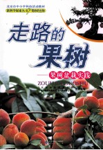 走路的果树 果树盆栽实践