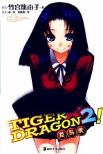 龙与虎 2