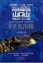 圣光出鞘