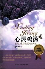 心灵鸡汤 引领成功的励志美文 限量珍藏版