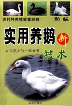 农村种养殖致富经典 科学养蜂鹅新技术