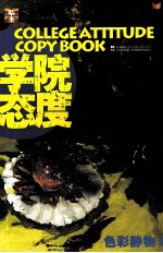 大临本学院态度 色彩静物 2