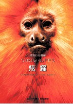 动物行为揭秘 炫耀