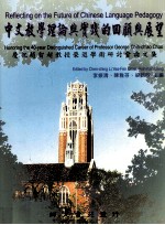 中文教学理论与实践的回顾与展望:庆祝赵智超教授荣退学术研讨会论文集